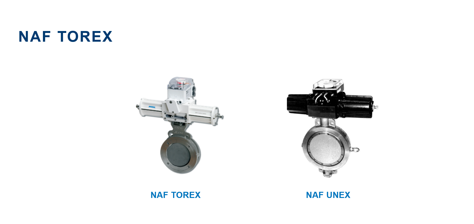06_Category_NAF.png